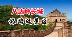鸡巴3d操逼中国北京-八达岭长城旅游风景区